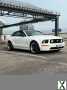 Foto Ford Mustang GT Cabrio