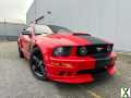 Foto Ford Mustang GT Coupe 4,6 V8 Roush Schalter 1.Hand