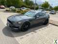 Foto Ford Mustang 3.7 mit Shelby Umbau