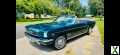 Foto Ford Mustang, Cabrio, V8 Automatic, elektr. Verdeck