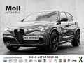 Foto Alfa Romeo Stelvio Quadrifoglio Q4 2.9 V6 Bi-turbo EU6d All