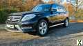 Foto Mercedes Benz GLK 220 CDI 4MATIC *AMG* STANDHEIZUNG