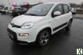 Foto Fiat Panda Sport 1.0 Mild Hybrit Radio Touch 7' DAB