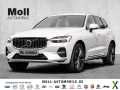 Foto Volvo XC60 Inscription Recharge Plug-In Hybrid AWD T8