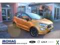 Foto Ford EcoSport 1.0 EcoBoost ST-Line 103 KW Navi Schieb