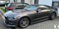 Foto Ford Mustang 2.3 EcoBoost Auto - phantom grey - TOP