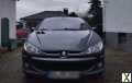 Foto Peugeot 206 CC Platinum 110 Platinium