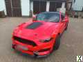 Foto Ford Mustang 2.3 EcoBoost Auto -