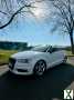 Foto Audi A3 Ambition Cabrio 2.0TDI 150ps SLine 19 Zoll