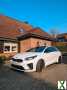 Foto Kia Proceed 1.6 GT/ 2,5 Jahre Garantie/ H&R / Bremsen Neu/ Tausch