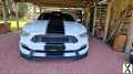 Foto Ford Mustang GT *Shelby* 5.0 V8