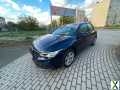 Foto Volkswagen Golf VIII 2.0 TDI PanoD.Lenkradhzg.Navi.Ap.Car