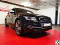 Foto Audi SQ5 3.0 TDI compet. quattro *SHgpfl.+Navi+Xenon