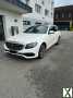 Foto Mercedes-Benz E400 4MATIC T-Modell