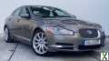 Foto Jaguar XF 5.0 V8