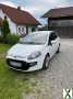 Foto Fiat Punto