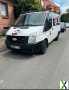 Foto Ford Transit