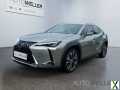 Foto Lexus UX 250h Luxury Line *HUD*Navi*LED*Leder*SmartKey