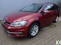 Foto Volkswagen Golf Variant 1.0 TSI Comfortline ACC AHK StHzg