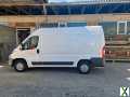 Foto Top gepflegter Peugeot Boxer Avantage