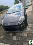 Foto Fiat Punto Evo-Diese Woche 3700€