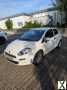 Foto Fiat Punto 1.2 MYSTYLE