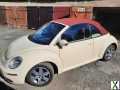 Foto VW Beatle Cabrio