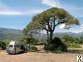 Foto VW BUS T3 OLDTIMER H-Kennzeichen