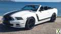 Foto Ford Mustang Cabrio Shelby Roush Design Tausch möglich Mallorca