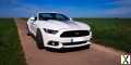 Foto Ford 2.3 EcoBoost - EU - BBK - 20 Zoll - KW V3