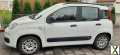Foto Fiat New Panda Klima 5-türig TÜV neu