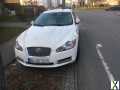 Foto Jaguar XF 2.7 L V6 Diesel Premium Luxury Premium Luxury