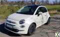 Foto Fiat 500 1.2 8V Anniversario Anniversario