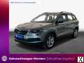 Foto Skoda Karoq 1.6 TDI SCR Ambition Kamera