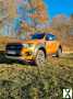 Foto Ford Ranger Wildtrak 2.0 Bi-Turbo