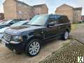 Foto Range rover vogue 3.6 diesel TDV8 TV XENON NAVI reschtlenkrad