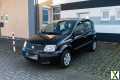 Foto Fiat Fiat Panda Classic 1.2 Fire 4x2