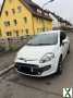 Foto Fiat Punto Evo 1.4 8V Dynamic Dynamic