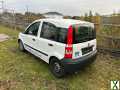 Foto Fiat Panda Winterauto HU bis 11/2024 169