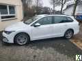 Foto VW Golf VIII Variant 2.0 TDI 150PS Live 6d-Temp IQ-Light Mod.2023