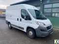 Foto Fiat Ducato 130 Multijet Klima L1H2 RS: 3000 mm PDC