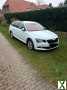 Foto Skoda Superb 1.6 TDI Active Combi Active