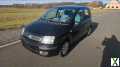 Foto Fiat Panda 169