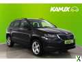 Foto Skoda Karoq 1.6TDI DSG Ambition+LED+NAVI+SHZ+PDC