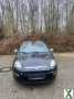 Foto Fiat Punto 1.2 8V POP POP