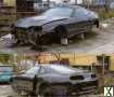 Foto Ankauf JDM Toyota Supra Mk4 , Nissan Skyline R32 R33 R34 , jza80 2Jz ,Honda s2000 , Integra Type R , Toyota Aristo , RX-7 FD , 200 sx S13 S14 S15 Nissan Silvia Sr20 Rb25 2Jz Rb26 Nissan Gtr Gt-r