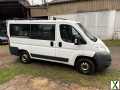 Foto Peugeot Boxer L1H1 Vollausstattung gepflegter Bus