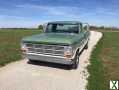 Foto Ford F 100