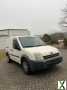 Foto Ford Transit Transporter