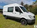 Foto Mercedes Springer L2H2
